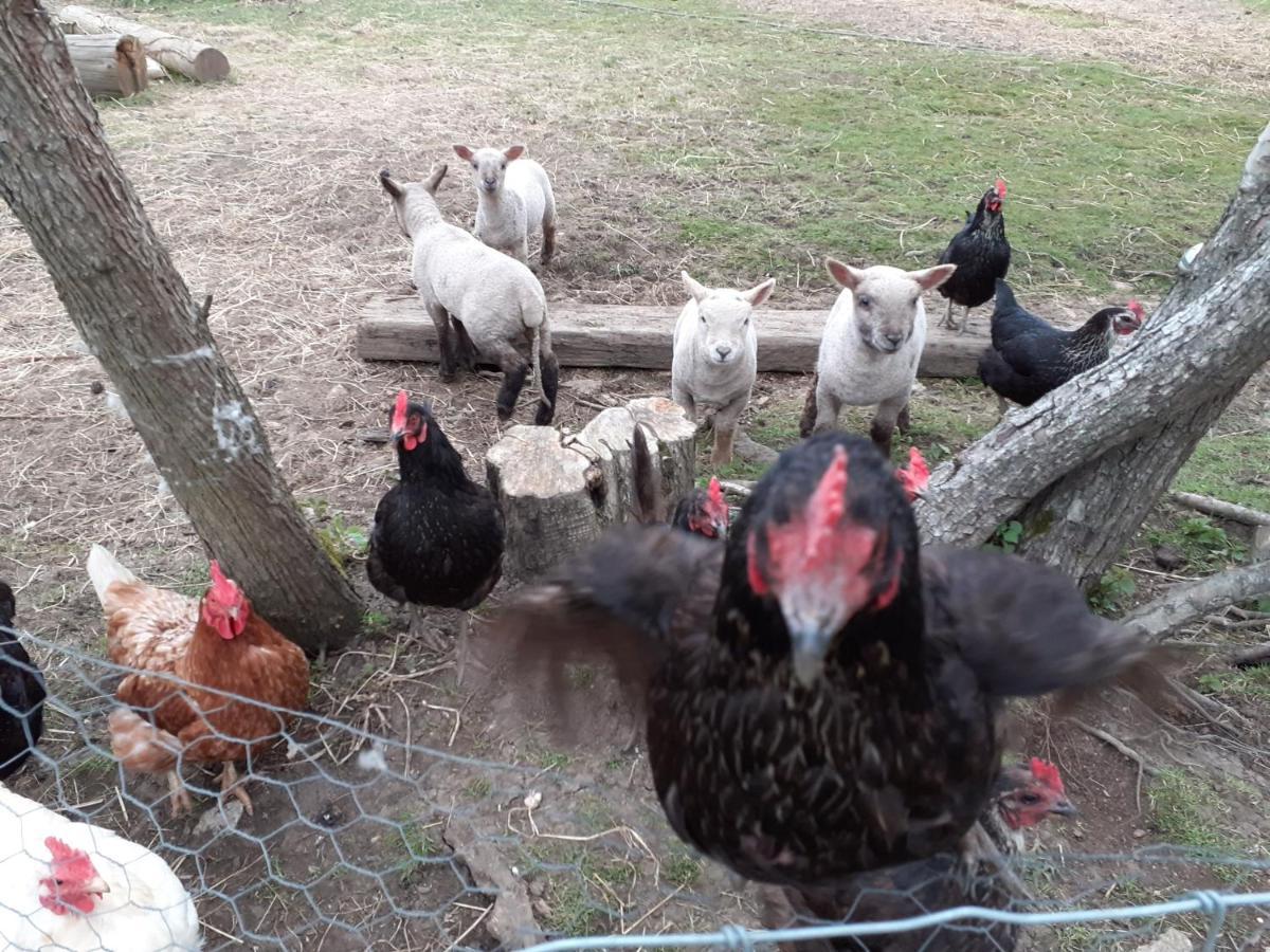 Ashton Keynes The Byre North End Farm Bed & Breakfast エクステリア 写真